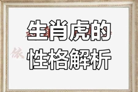 探寻1962年属虎者的命运与性格特征