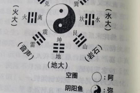探索华盖太极:将哲学与饮食健康相结合的智慧之道