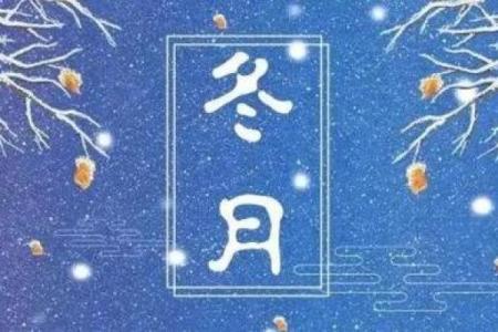 探索辛巳年冬月初一命理密码:揭示你的命运与人生轨迹