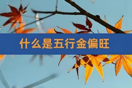 探寻五行金命之商机：适合的生意与发展方向