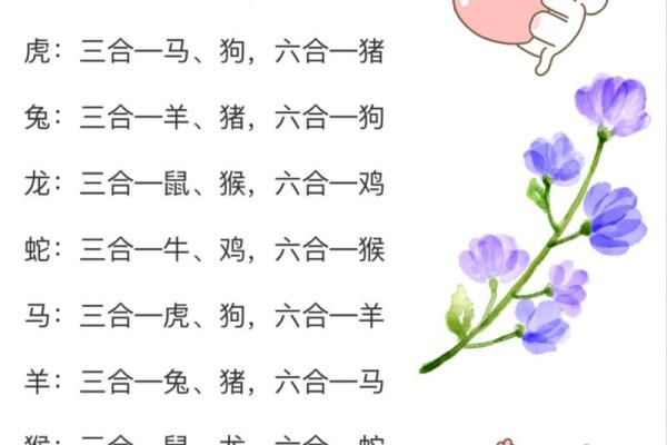 相生相克：生肖命理如何影响婚姻缘分