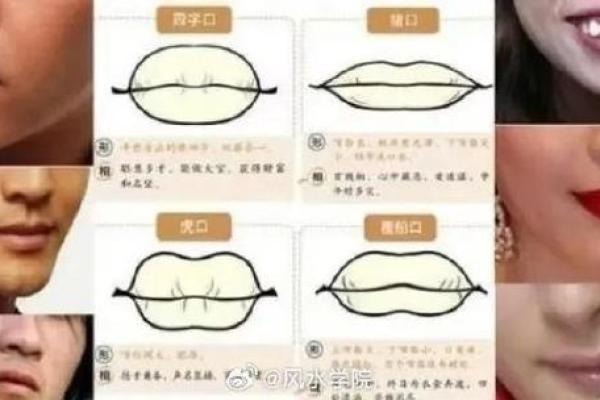 嘴巴的形状与命运的关系：探索面相学的奥秘
