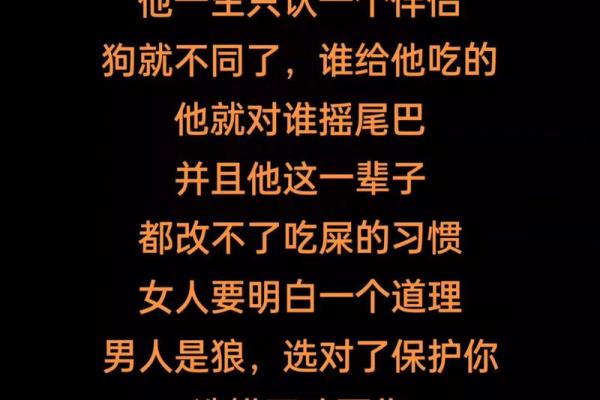 相依为命的两条狗：忠诚与爱的无声诠释