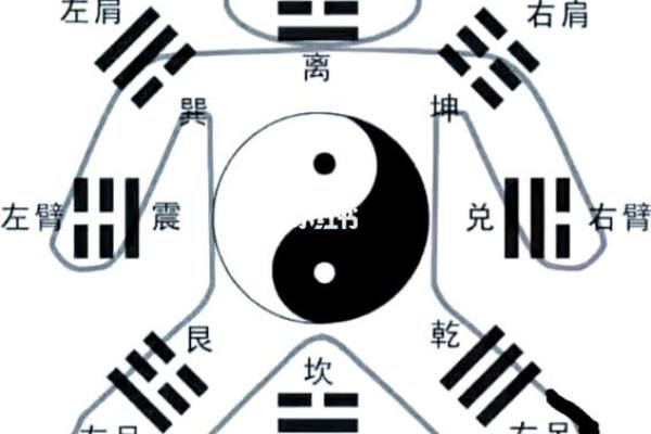 探索东4命与酉4命的奥秘：命理学的深邃与魅力