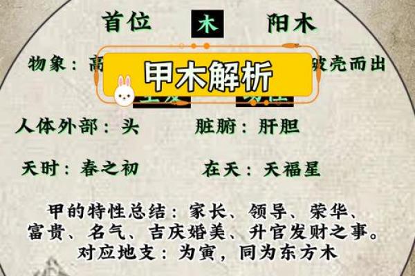 探索甲木男孩的魅力：为何命理爱好者青睐这种性格？