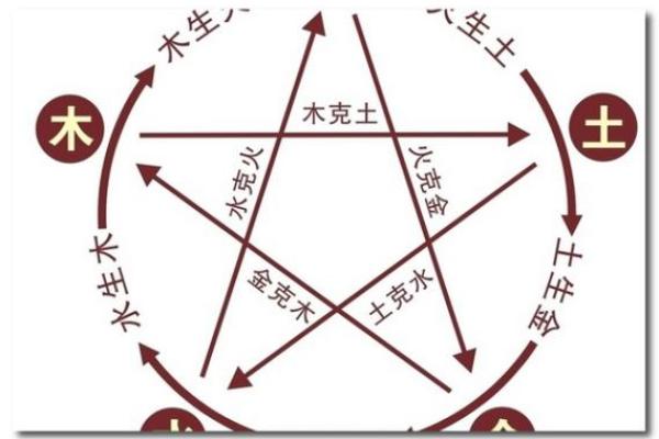 探秘土命与木命的奇妙关系：命理中的平衡与融合