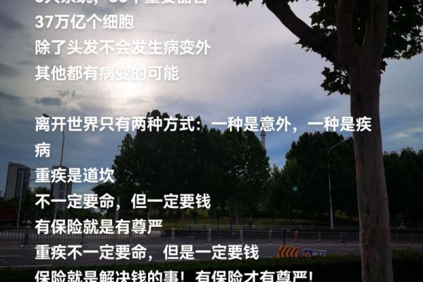 为什么有人身上带钱不带命？探讨生活中的价值观和选择