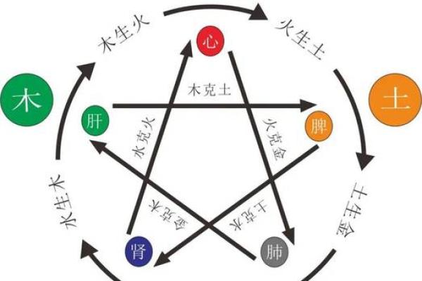 探寻右肩五行命理：你的命运由此揭开神秘面纱