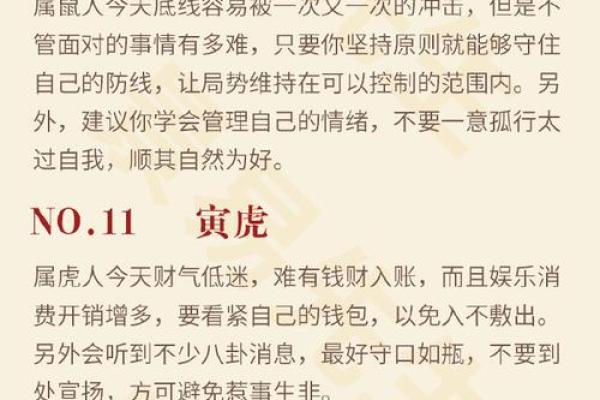 算命解读：猪与鼠的命运相生相克，何去何从？