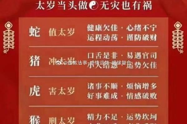 算命解读：猪与鼠的命运相生相克，何去何从？