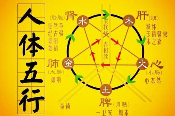 杨柳木命与金木相生的奇妙配对：相伴共生的命理之美