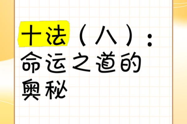 相面与菠菜根命的深奥哲学：探索命运的奥秘
