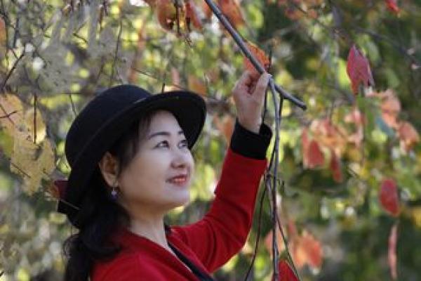 探索“一生风光”的命格哲学：生活如花般绚烂的秘密