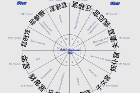 探秘命格：解码人生的奥秘与方向