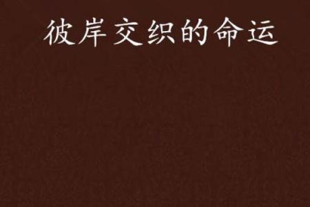 一辈子有五十一天：探讨命运与生活的神秘交织