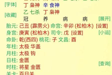 探秘四柱命理:地支帝旺命的独特魅力与福气