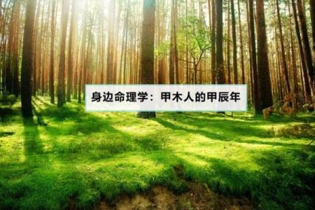 探索甲木男孩的魅力：为何命理爱好者青睐这种性格？