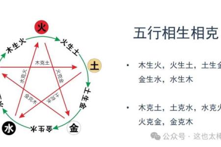 探索五行属性:木命与土命的属相解析与人生智慧