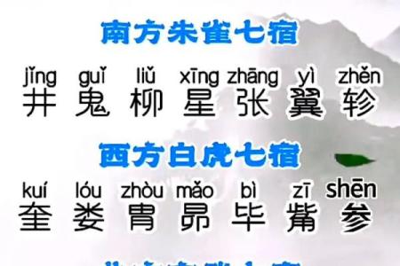 童子命命硬：解密命理中的特殊命格与人生轨迹