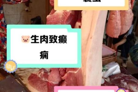 为什么命要吃生猪肉?探寻猪肉背后的营养与文化价值