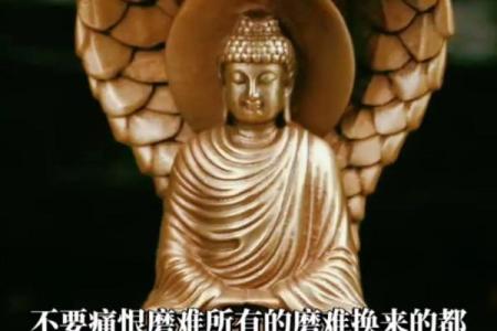 选择适合木命人的干爹干娘,助力成长的智慧之选