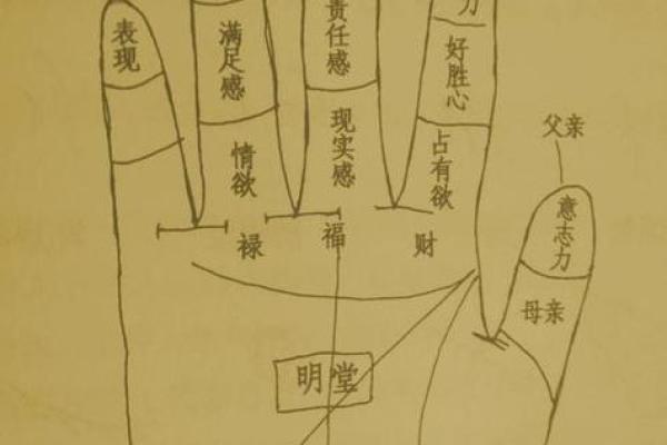 掌纹无色之秘：解析命运的深层含义