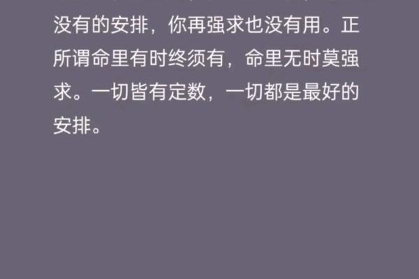 无根之命：算命师眼中的命运哲学与人生启示