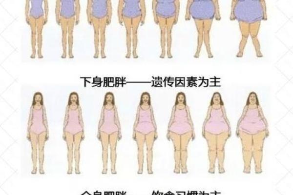 五斤重女孩的命运解析：从出生到成熟女子的心路历程