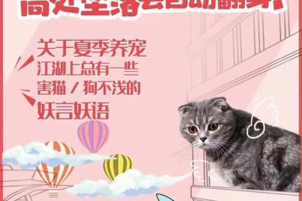 为什么说猫都有九条命的传说与真相
