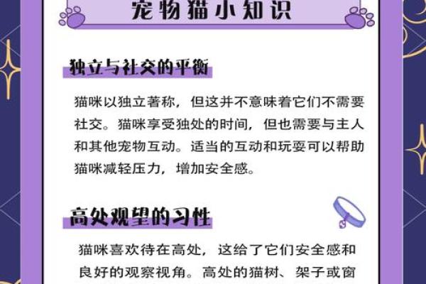 为什么都说猫有九条命：探索猫咪的神秘与魅力