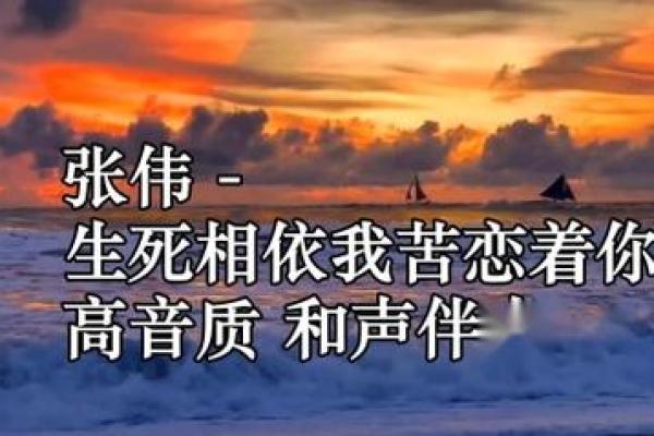 相依为命的灵魂歌手：音符中的灵魂共鸣与感动