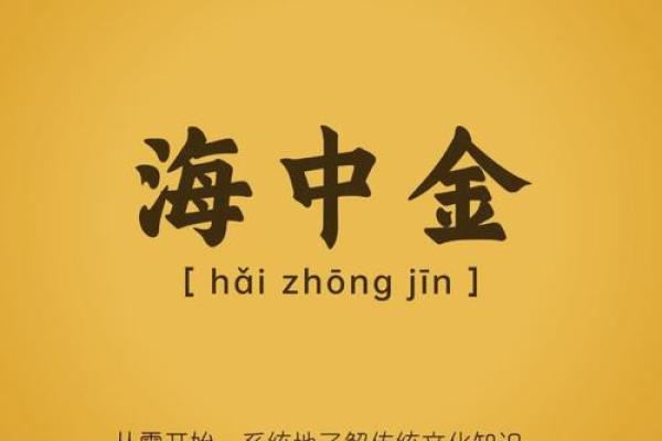 探秘硬命格：她们命运中的坚韧与智慧