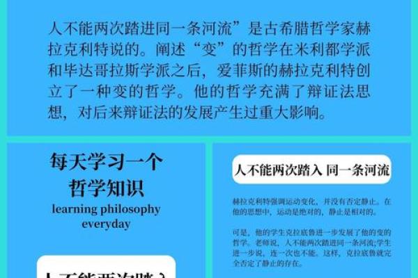 一条命换两条命，揭秘其深意与哲学思考