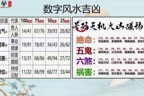 探索离命与东四命：命理学中的神秘与智慧