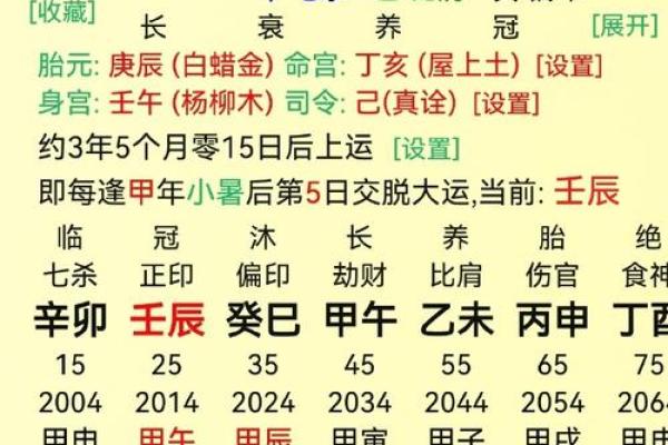 土象命男：稳定与坚韧的生命之旅