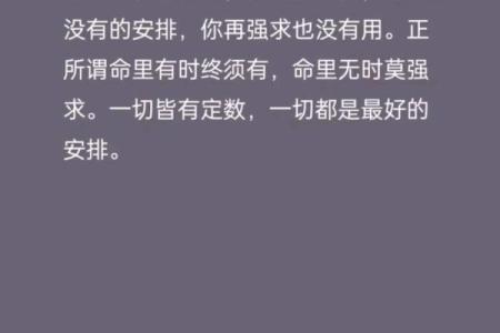 无根之命：算命师眼中的命运哲学与人生启示