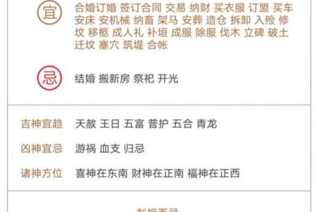 土命命硬的含义与生活中的影响解析