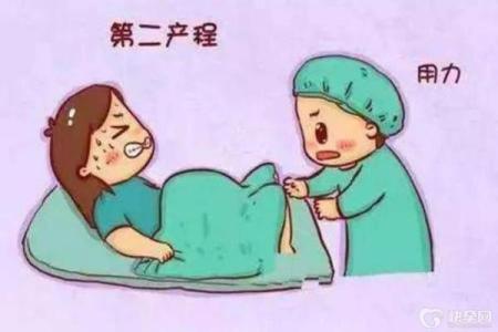 探秘生三胎的命运轨迹:她们的一生会有怎样的精彩