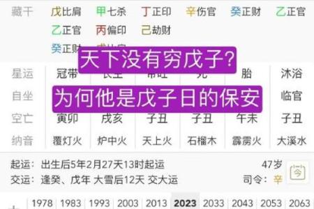 戊子日出生的人命格解析：命运的探索与启示