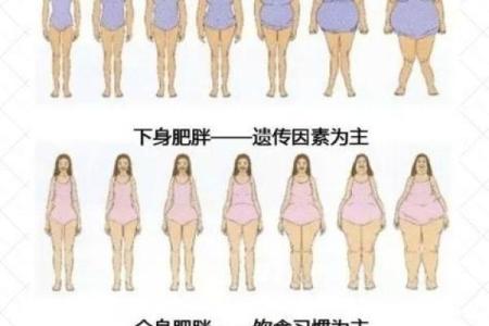 五斤重女孩的命运解析:从出生到成熟女子的心路历程
