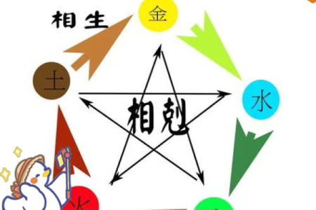 探索五行之奥秘:从个人命格透视命运之路
