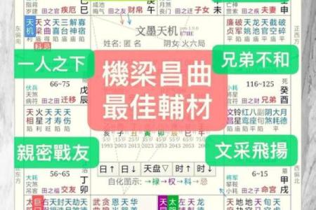 五行与生辰八字:探寻命运的奥秘与自我提升之道