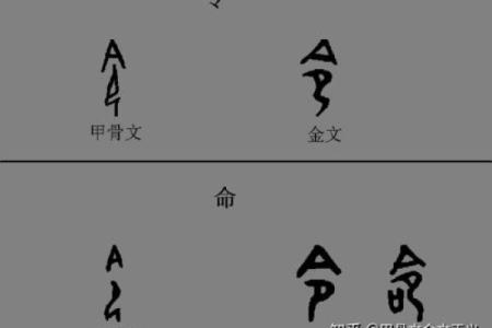 探索“铁扫帚”命的奥秘与人生哲学
