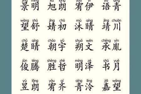 为木命男孩起名的智慧与艺术,助其成才之路!