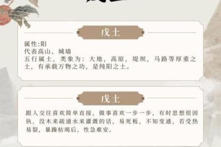 戊子日的伤官命：解析与人生的深刻启示