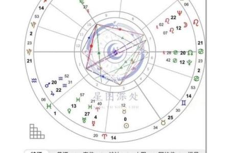 探秘硬命格:她们命运中的坚韧与智慧
