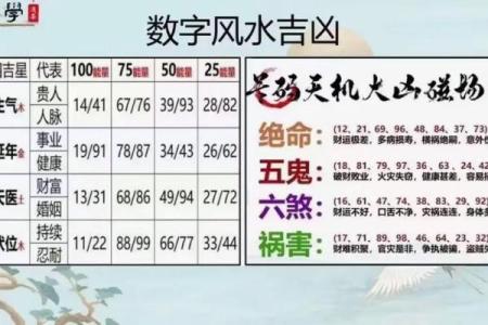 探索离命与东四命:命理学中的神秘与智慧