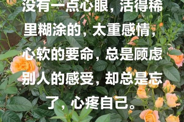 为何命与命的不同：从音乐中读懂人生的深意