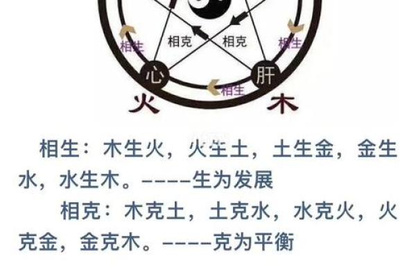土命与水命：如何平衡五行缺失，提升自身能量