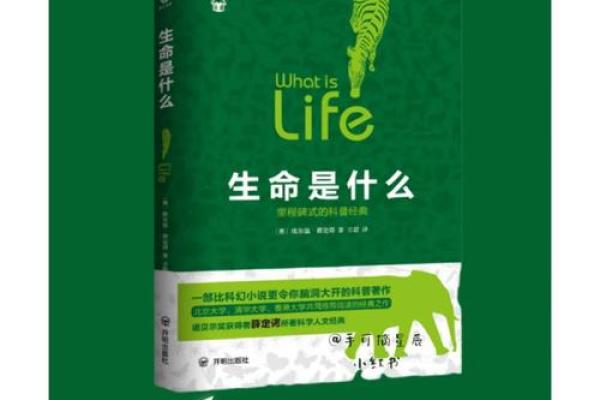 戊日出生的人命理解析：揭开生命的神秘面纱